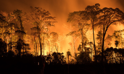 Queimadas na Amazônia atingem recorde de 59 mil focos em 2024