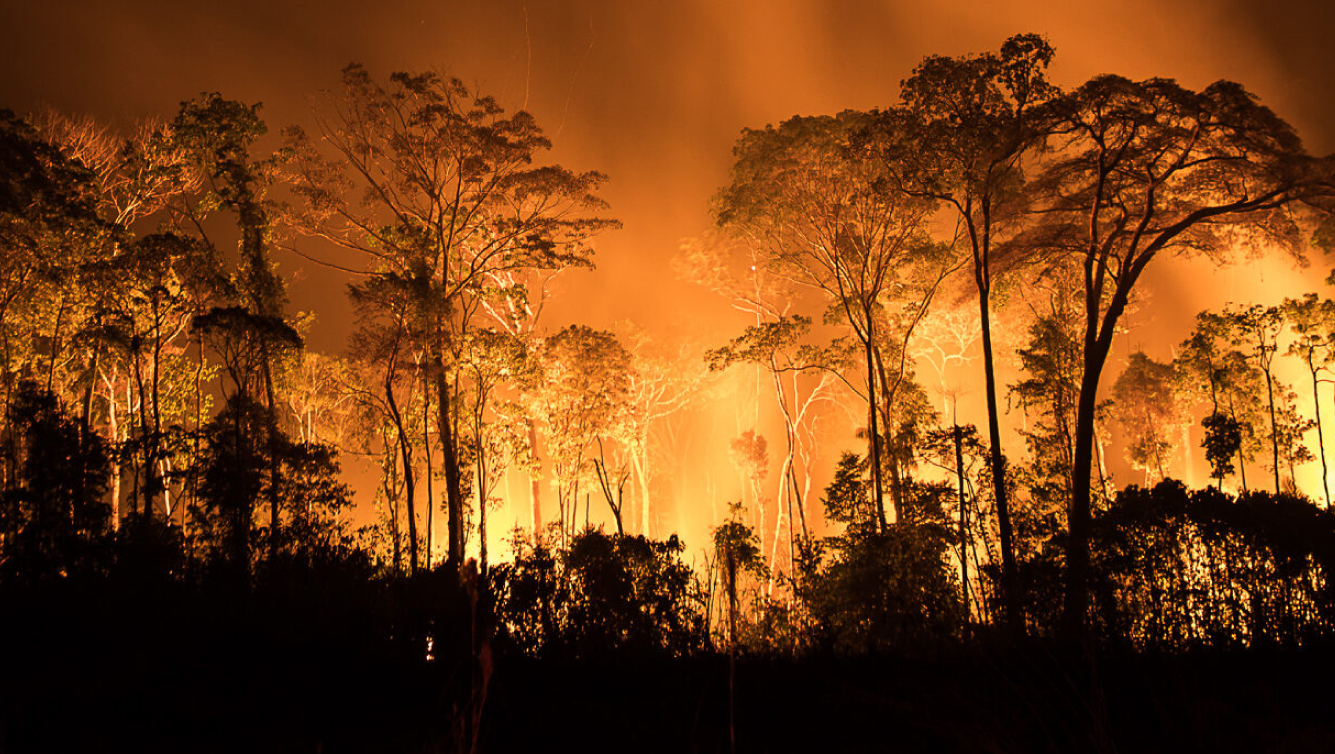 Queimadas na Amazônia atingem recorde de 59 mil focos em 2024