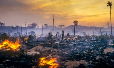 Brasil tem pior número de queimadas no Pantanal e Amazônia em 20 anos