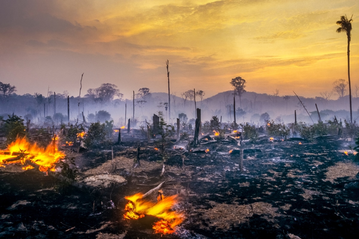 Brasil tem pior número de queimadas no Pantanal e Amazônia em 20 anos