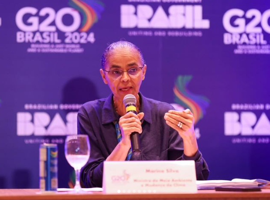 ONGs receberam R$ 315,5 milhões durante gestão de Marina Silva