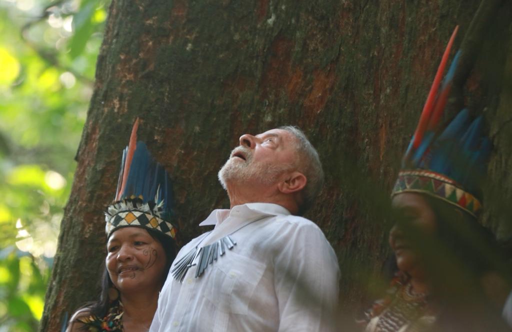 Desmatamento na Amazônia tem crescimento devastador durante governo Lula