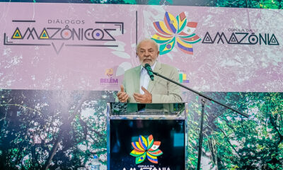 Governo Lula destrói parte da floresta Amazônica para construir rodovia para a COP30