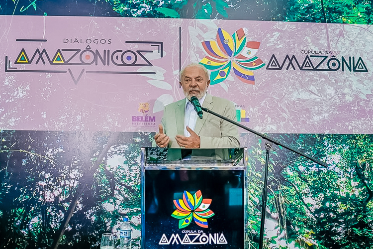 Governo Lula destrói parte da floresta Amazônica para construir rodovia para a COP30